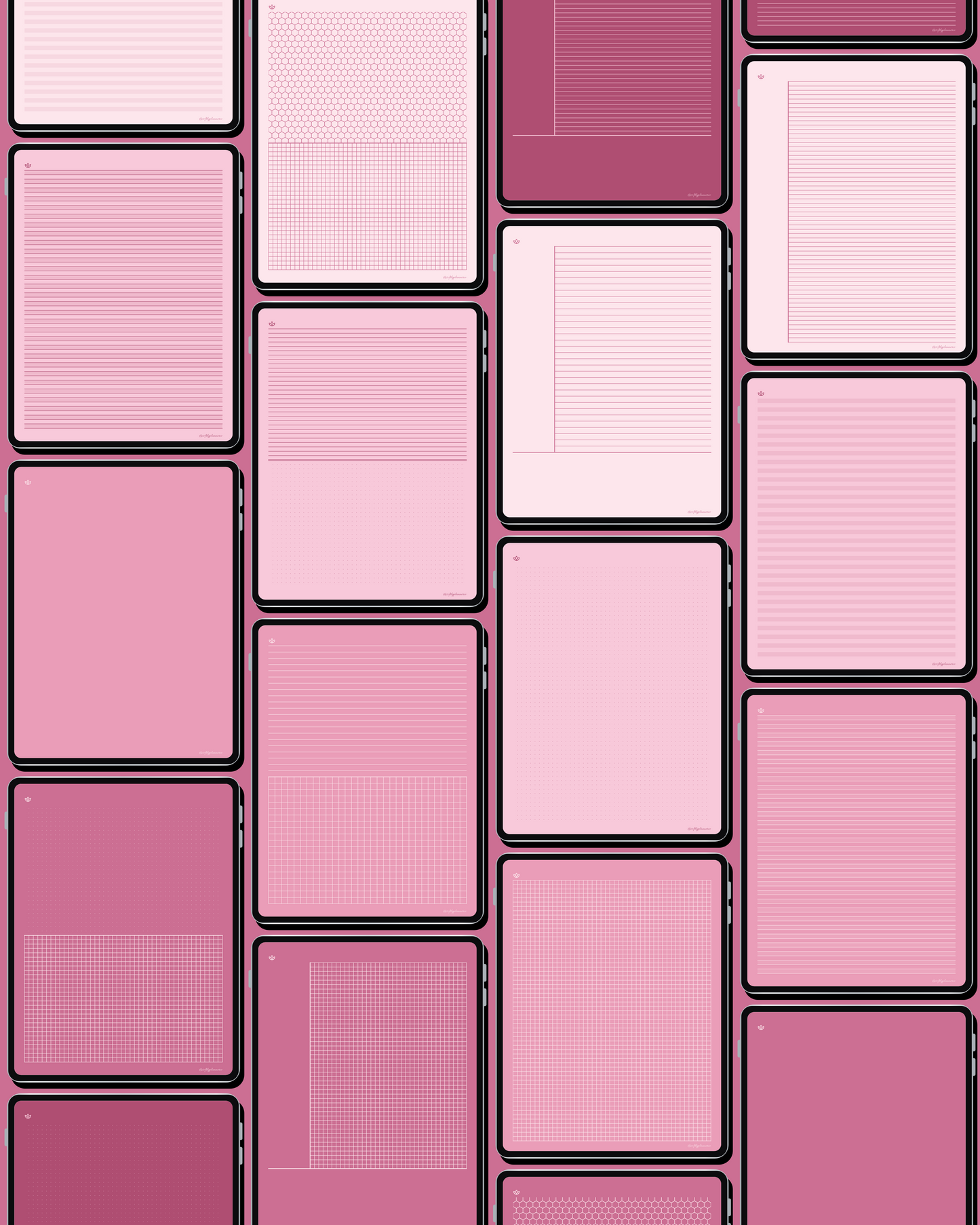 rose__02